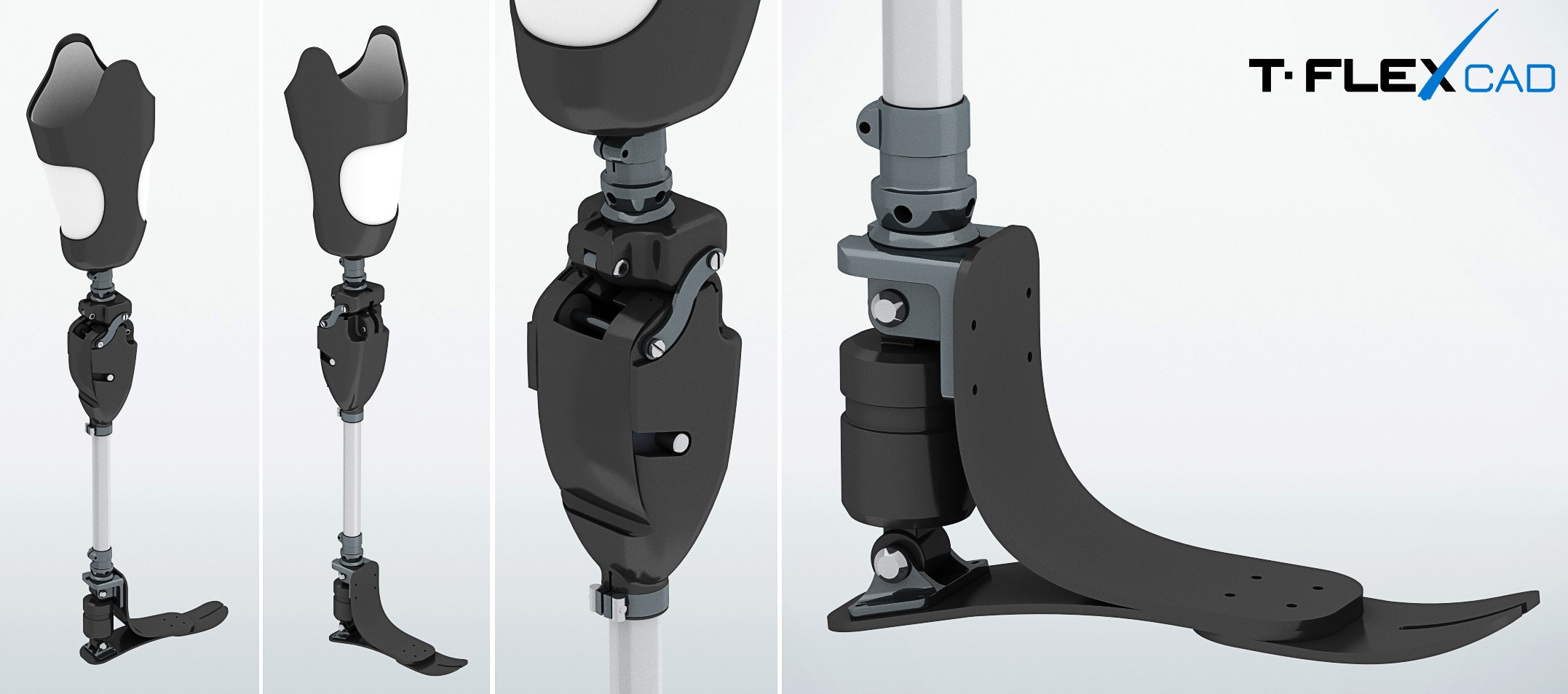 prosthesis1